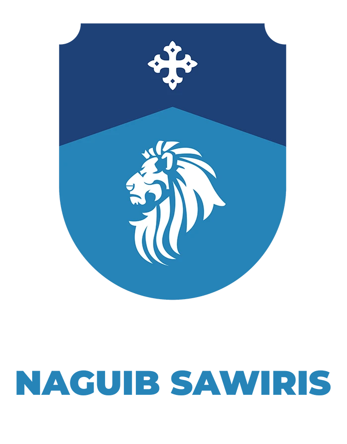 Agora Naguib Sawiris School of Business